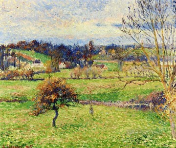  eragny Oil Painting - field at eragny 1885 Camille Pissarro